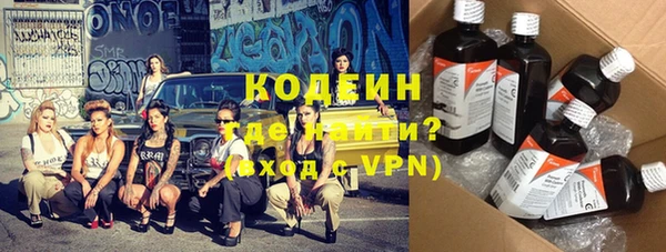 хмурый Аркадак
