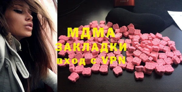 хмурый Аркадак